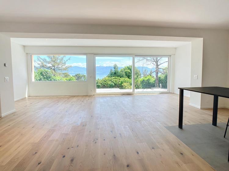 Charmante maison villageoise rénovée - Vue lac et Alpes